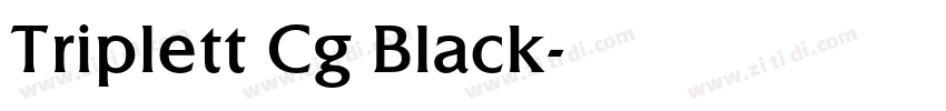 Triplett Cg Black字体转换